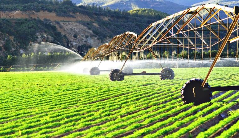 1920_stock-photo-modern-irrigation-system-watering-a-farm-field-of-carrots-in-late-afternoon-sunlight-66488236