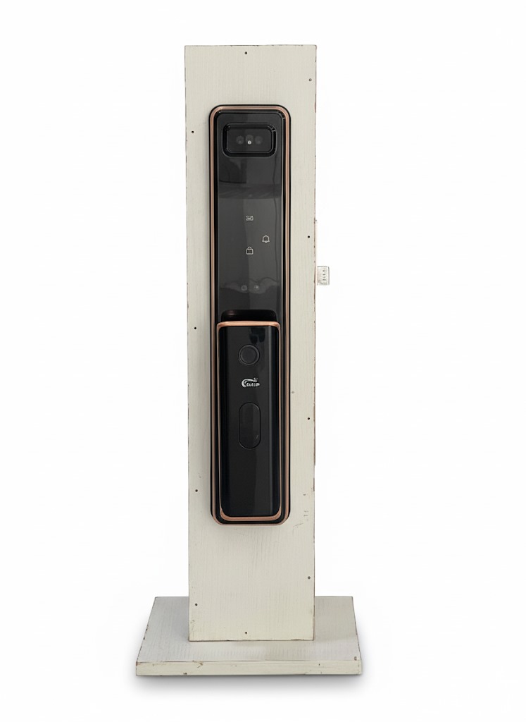 WhatsApp Image 2025-10-03 at 5.06.25 PM