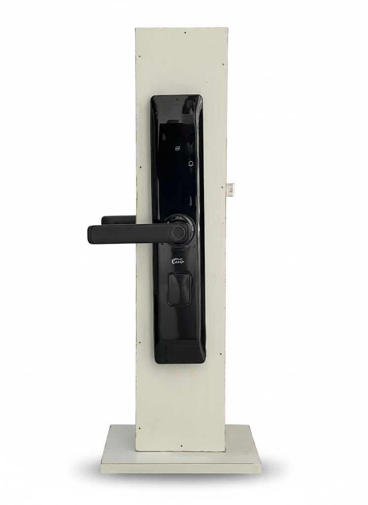 WhatsApp Image 2025-10-03 at 5.06.40 PM